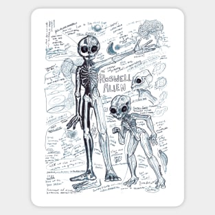 Roswell Alien Study Sticker